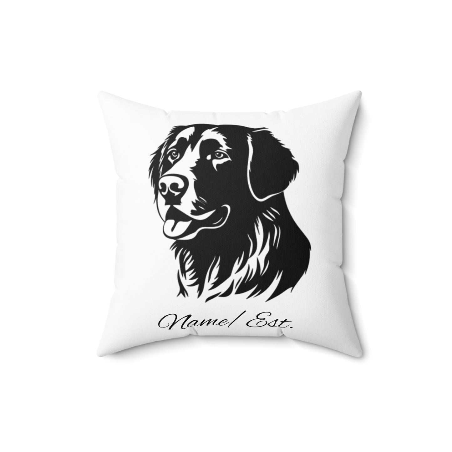 Square Accent Pillow