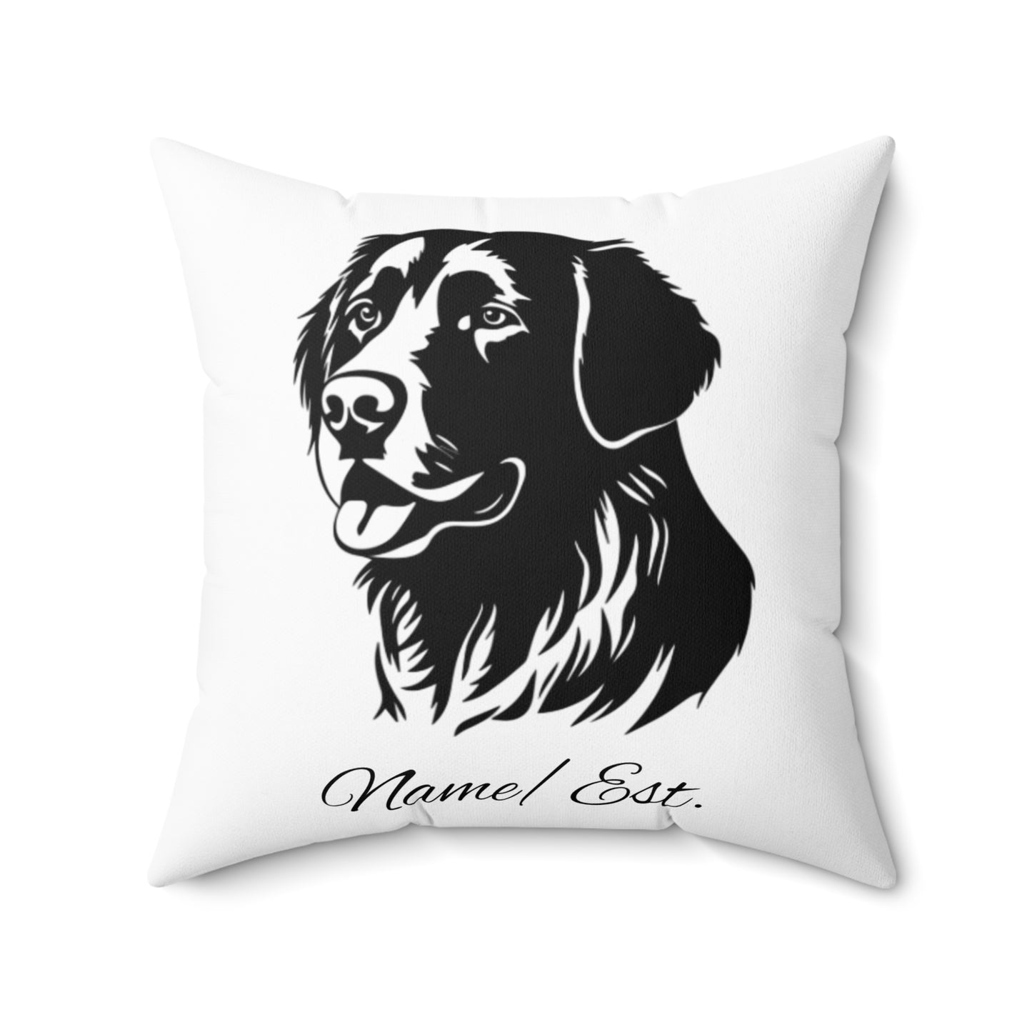 Square Accent Pillow