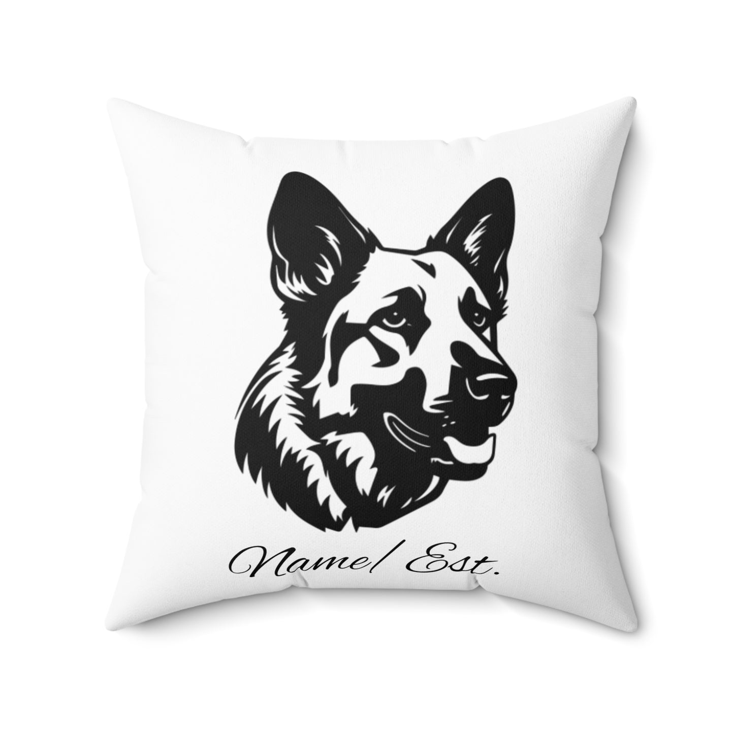 Square Accent Pillow