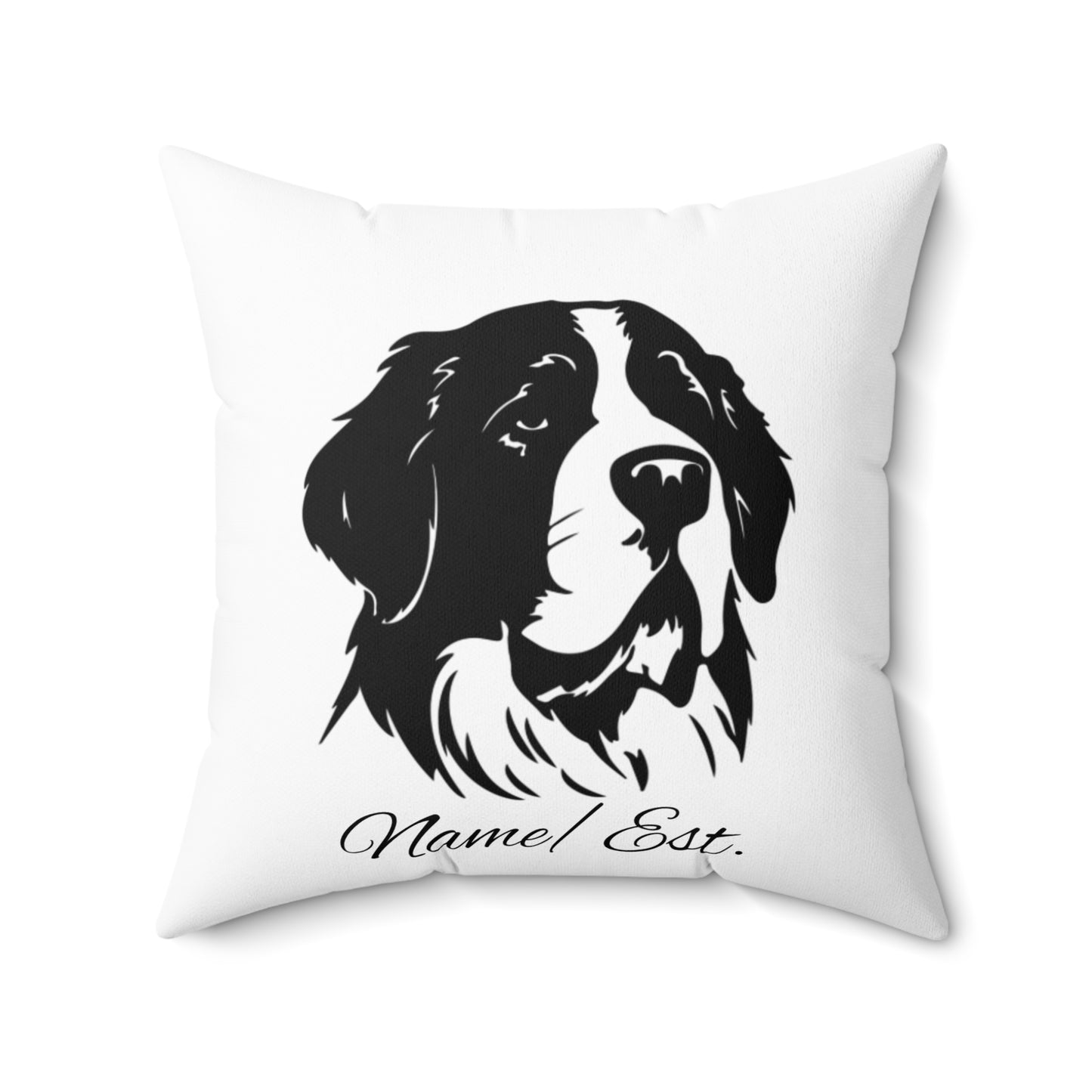 Square Accent Pillow