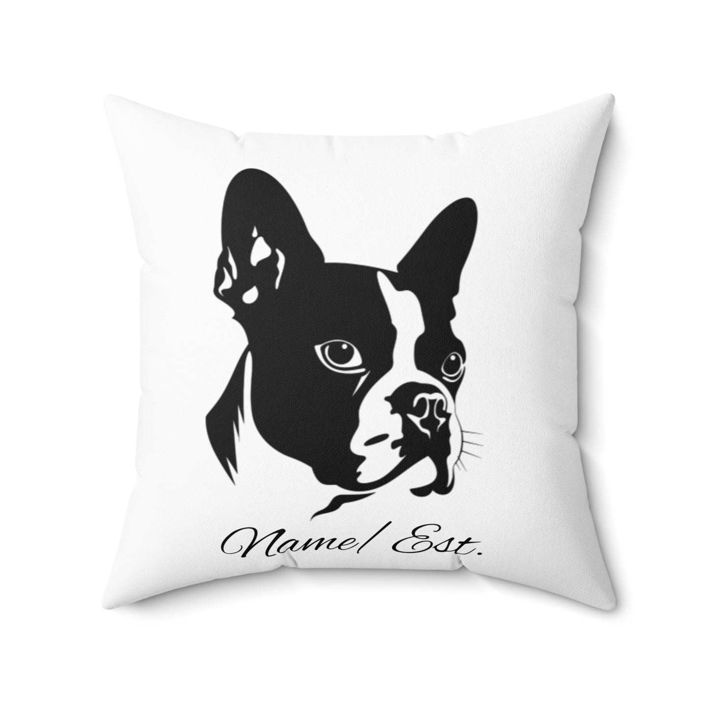 Square Accent Pillow