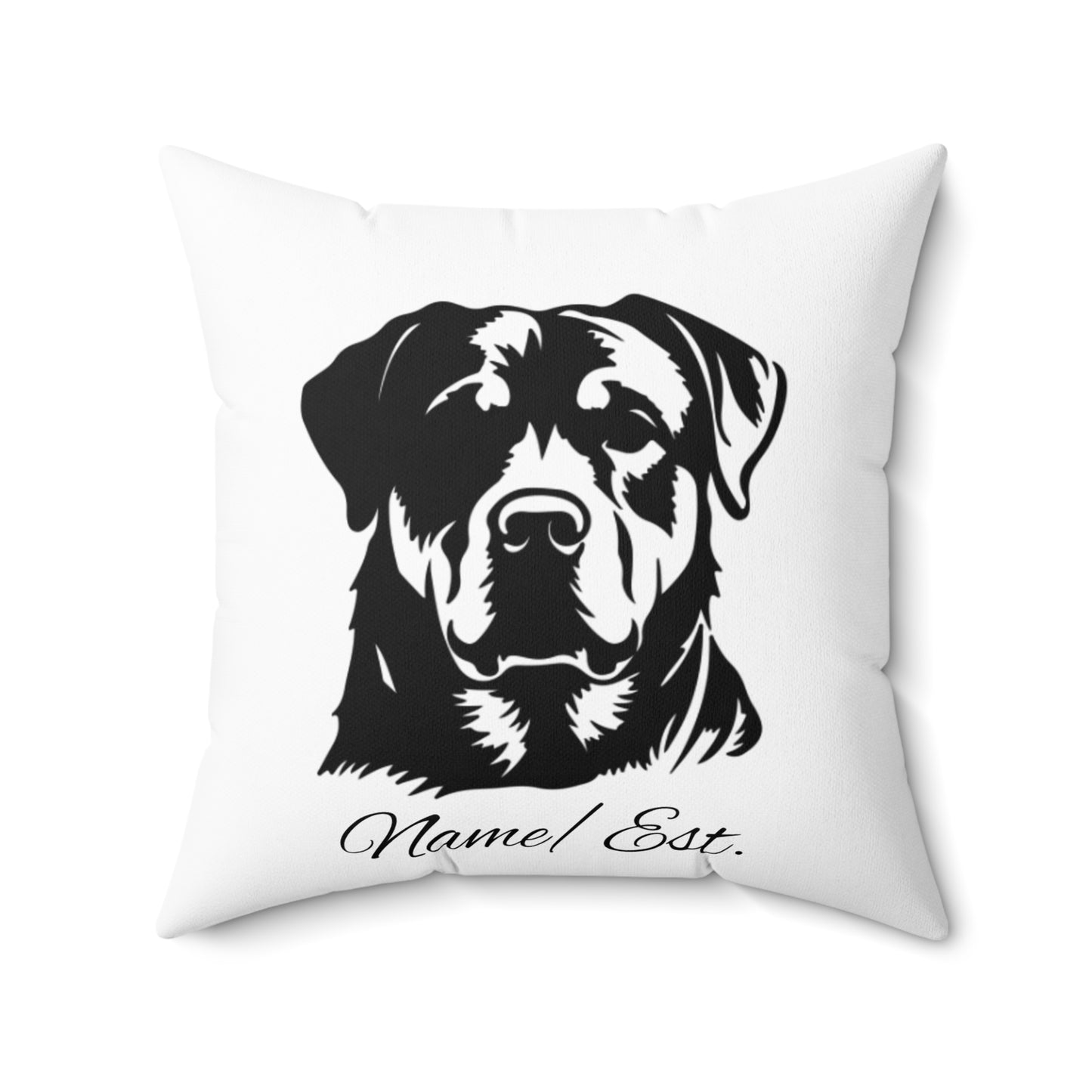 Square Accent Pillow