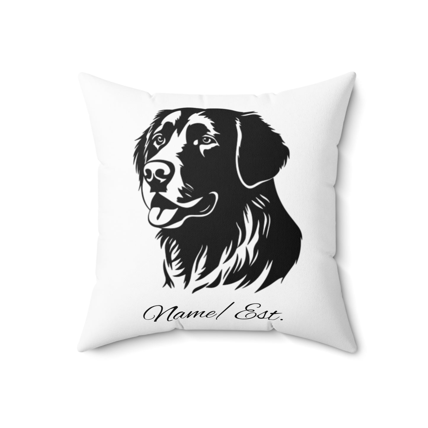 Square Accent Pillow