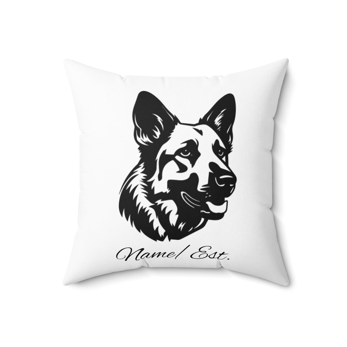 Square Accent Pillow