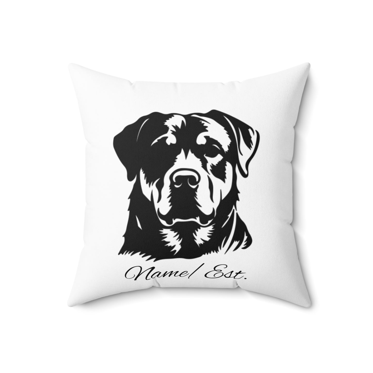 Square Accent Pillow